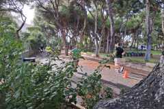 IMG-20251012-WA0023