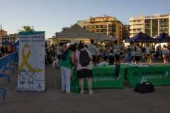 Primera-Linea-Benidorm-2026_0045