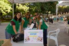 Primera-Linea-Benidorm-2026_0049