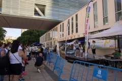 Primera-Linea-Benidorm-2026_0078