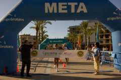 Primera-Linea-Benidorm-2026_0142