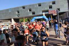 Primera-Linea-Benidorm-2026_0059