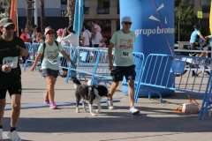 Primera-Linea-Benidorm-2026_0226
