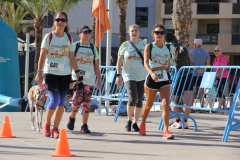 Primera-Linea-Benidorm-2026_0399