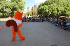 Primera-Linea-Benidorm-2026_0635
