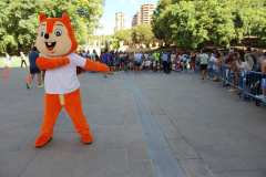 Primera-Linea-Benidorm-2026_0636