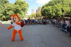 Primera-Linea-Benidorm-2026_0637