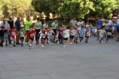 Primera-Linea-Benidorm-2026_0660