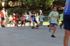 Primera-Linea-Benidorm-2026_0674