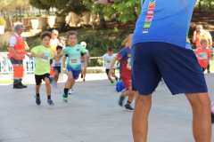 Primera-Linea-Benidorm-2026_0677