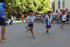 Primera-Linea-Benidorm-2026_0679