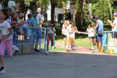 Primera-Linea-Benidorm-2026_0688