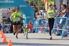 Primera-Linea-Benidorm-2026_1005