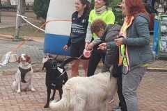 IMG-20250302-WA0022