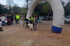 IMG-20250302-WA0024