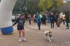 IMG-20250302-WA0028