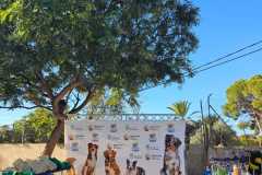 B-Feria-M-01