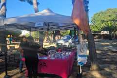 B-Feria-M-16