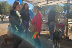 B-Feria-M-31