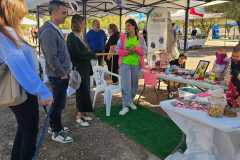 B-Feria-M-40