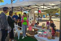 B-Feria-M-41