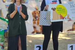 PR-entrega-003