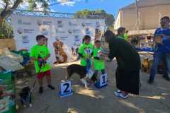PR-entrega-006