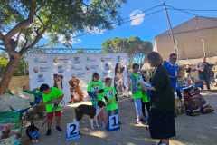 PR-entrega-007