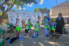 PR-entrega-008