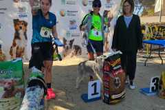 PR-entrega-013