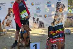 PR-entrega-016