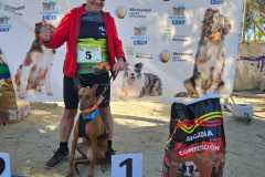 PR-entrega-017