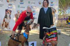 PR-entrega-019
