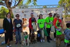 PR-entrega-036