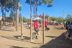 ambiente-29