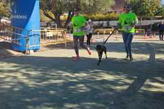 canicross-29