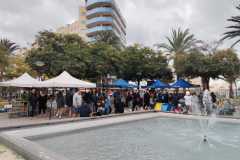 WhatsApp-Image-2025-12-28-at-12.58.38-5