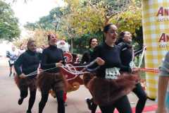 WhatsApp-Image-2025-12-28-at-15.22.59-1