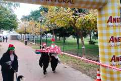 WhatsApp-Image-2025-12-28-at-15.31.09