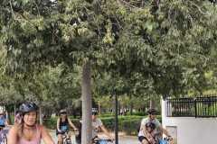 WhatsApp-Image-2025-09-22-at-08.13.31