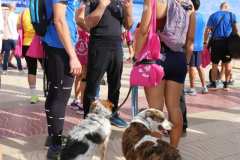 IMG_0190-2025-11-16T18_27_16.816