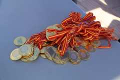 IMG_0246-2025-11-16T18_28_21.676