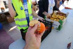 IMG_0247-2025-11-16T18_28_23.026