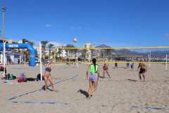 IMG_0254-2025-11-16T18_28_34.338