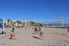 IMG_0255-2025-11-16T18_28_35.606