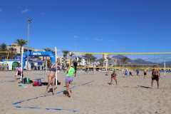 IMG_0259-2025-11-16T18_28_39.812