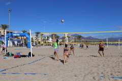 IMG_0263-2025-11-16T18_28_43.928