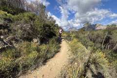 IMG_5384-copia