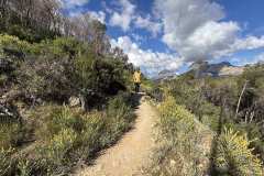 IMG_5421-copia