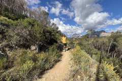 IMG_5422-copia